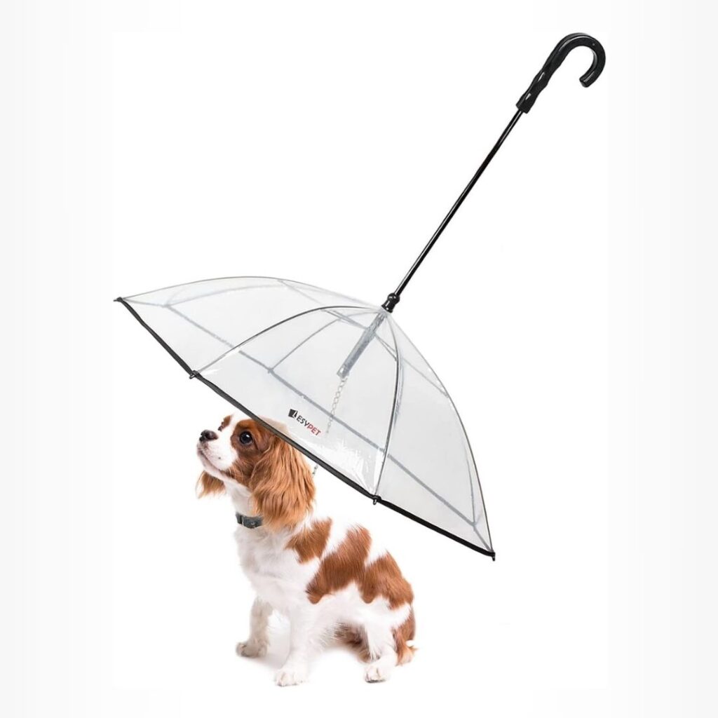 Coleira guarda-chuva